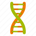 biology, biotechnology, chain, dna, molecule, science, strand