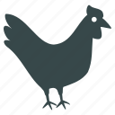 chicken, hen, agriculture, bird, cock, farm, village