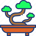 bonsai, plant, nature, garden, tree