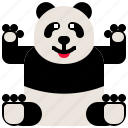 animal, bear, china, cute, panda