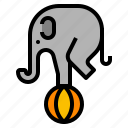 animal, circus, elephant