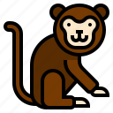 animal, circus, monkey