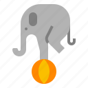 animal, elephant