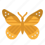 animals, butterfly, flower, insect, moths 