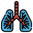 covid, lungs, medical, organs, respiratory