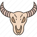 buffalo, bull, skull, head, animal