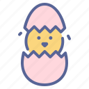 chicken, easter, egg, shell