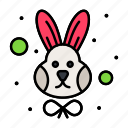 animal, easter, face, rabbit