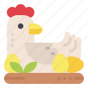 hen, chicken, animal, mammal, farm