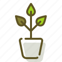 green, plant, pot, sprout