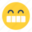 emoji, emoticon, emotion, face, feeling, grind, smile 