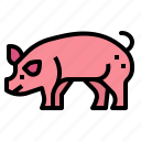 pig, animal, farm, mammal, livestock