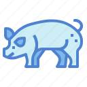 pig, animal, farm, mammal, livestock