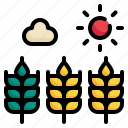 seedling, farm, sun, agriculture, cloud, weather, farming icon