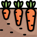 farming, gardening, agriculture, growing, carrot, garden, vegetable