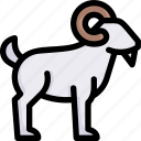 farming, gardening, agriculture, ram goat, animal, cattle