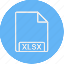 file, format, xlsx