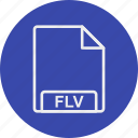 file, flv, format