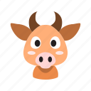 animal, cow, cute, front, head, horns, muzzle