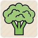 broccoli, food, nature, salad, tree, vegetable