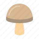 vegetable, mushroom, gastronomy, healthy, food, fungi, fungus