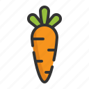 carrot, vegetable, healthy, organic, cooking, food, dessert