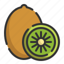 kiwi, fruit, healthy, organic, food