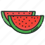 diet, food, fresh, fruit, healthy, organic, watermelon 