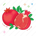 fruit, fruits, pomegranate