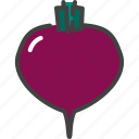 beet, beetroot, food, healthy, vegetable, vegetarian