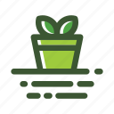 garden, green, plant, pot, seed