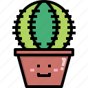 cacti, cactus, desert, nature, pot, summer, tree