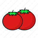 tomato, vegetable, fresh, fruit, organic, tropical