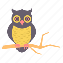 bird, halloween, horror, owl, scary, spooky