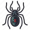 black widow, bug, halloween, insect, spider, widow