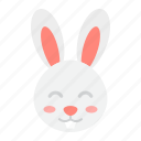 animal, bunny, cute, easter, happy, holiday, rabbit