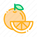 food, fruit, healthy, orange