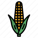 corn, sweet, plant, food, farming