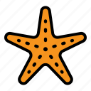 starfish, sea, summer, star, animal