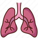 health, lung, respiratory, medical, lungs