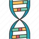 dna, helix, gene, chromosome, biotechnology