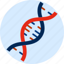 constructed, dna spiral, genetic, laboratory, science