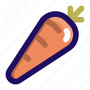 carrot, food, garden, healthy, vegetable