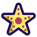 animal, fish, ocean, sea, star, starfish