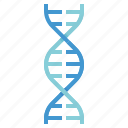 dna, genetics, genome, molecule, science