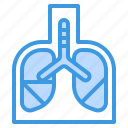 anatomy, human, lungs, medical, organ