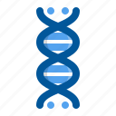 biology, dna, genetics, genome, molecule