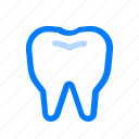 teeth, dental, dentist