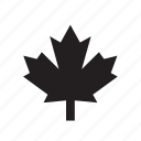 canada, canadian, leaf, maple, nature