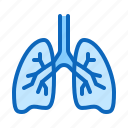 breath, lungs, pulmonology